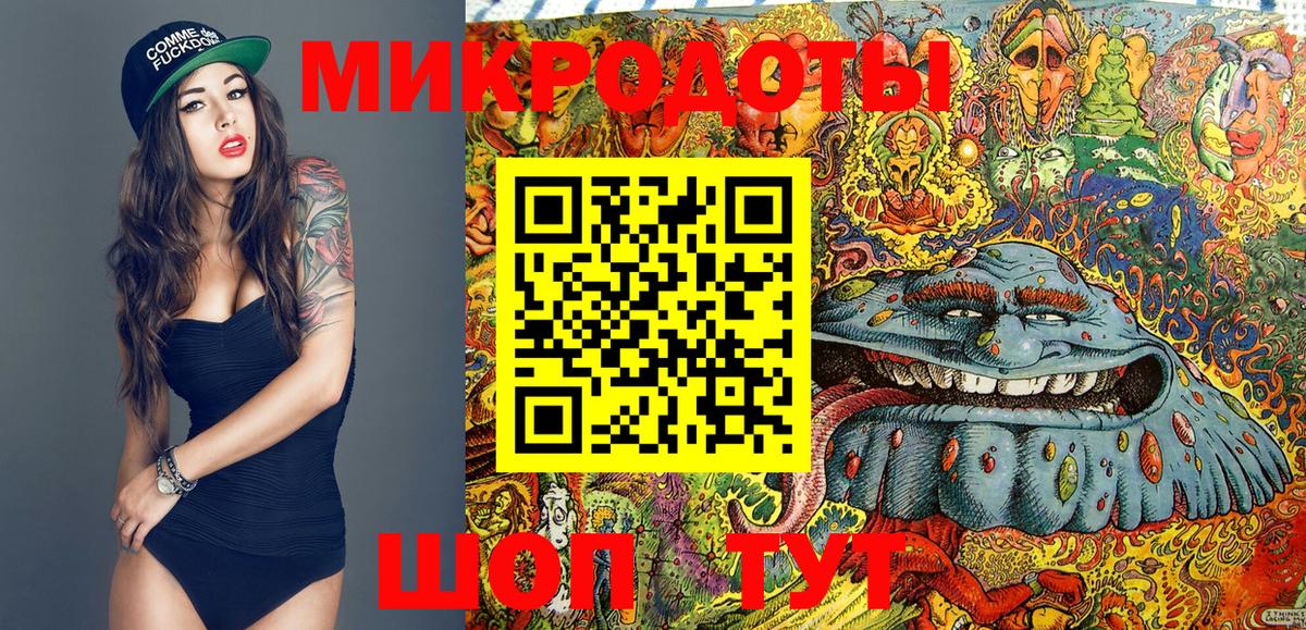 Галлюциногенные грибы Psilocybe  Вход с VPN  Галлюциногенные грибы ЛСД  Серов 